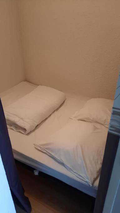 Appartement De Montagne En Matheysine Saint-Honore  المظهر الخارجي الصورة